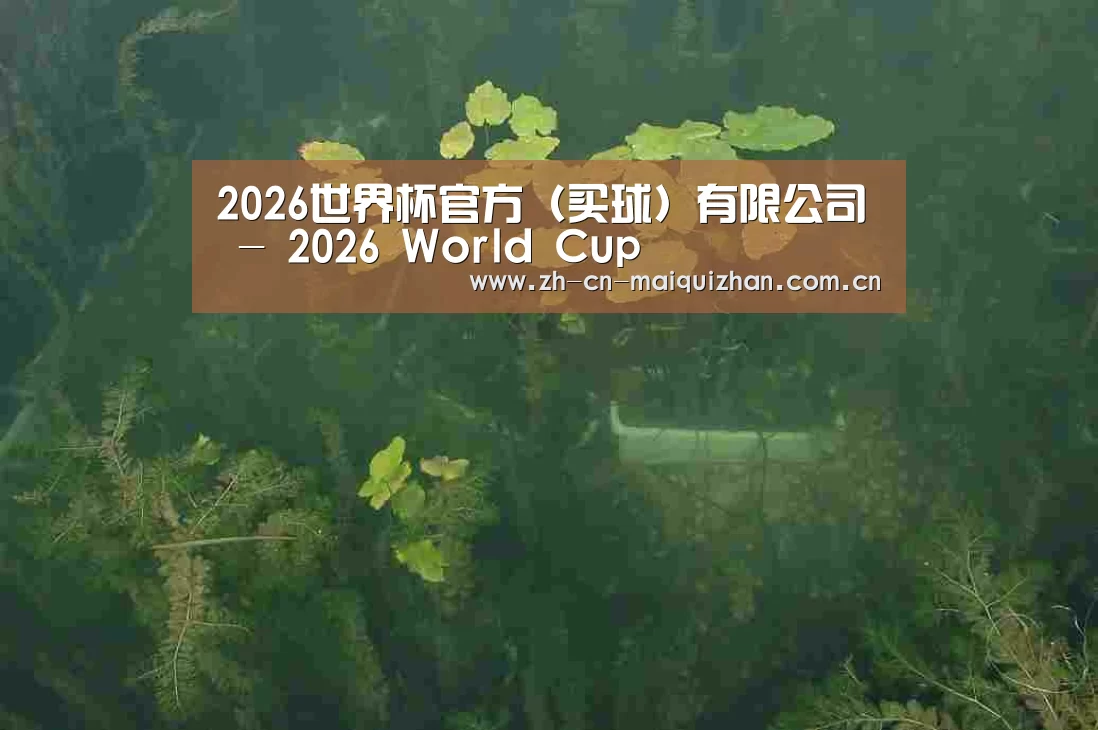 案例展示三