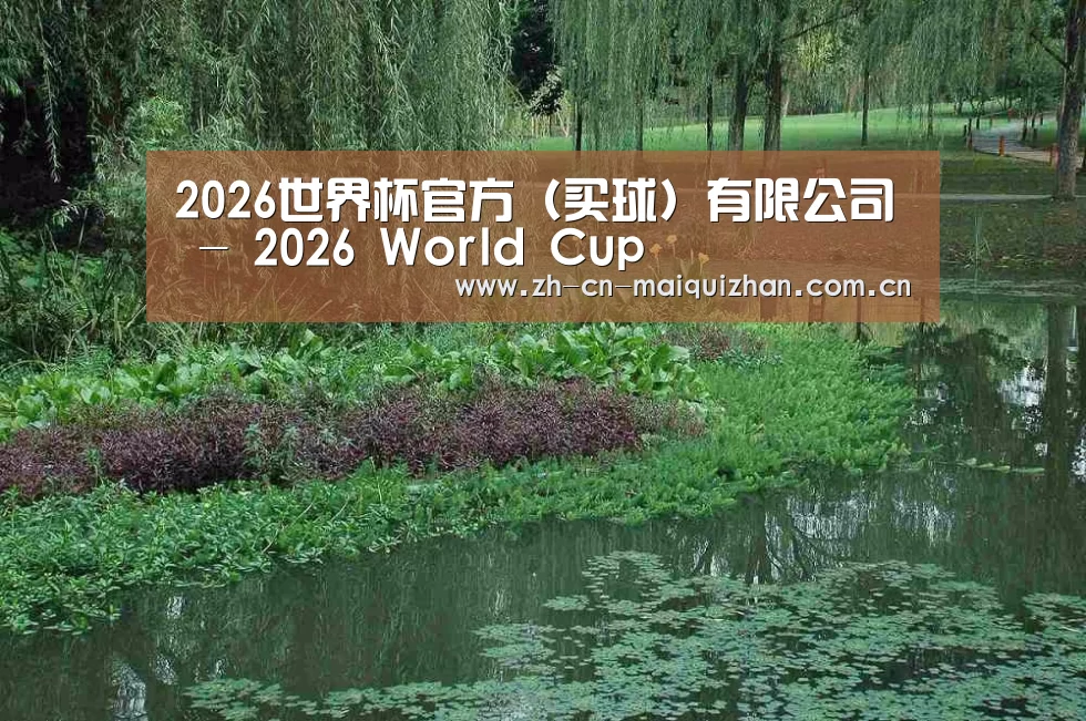 案例展示一