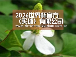 产品名称三
