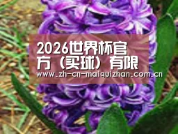 产品名称八