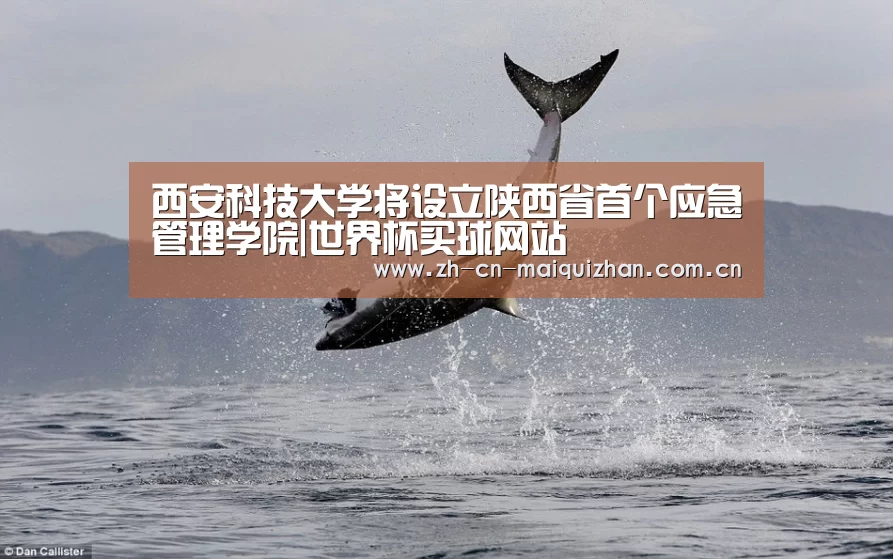 世界杯外围买球官网