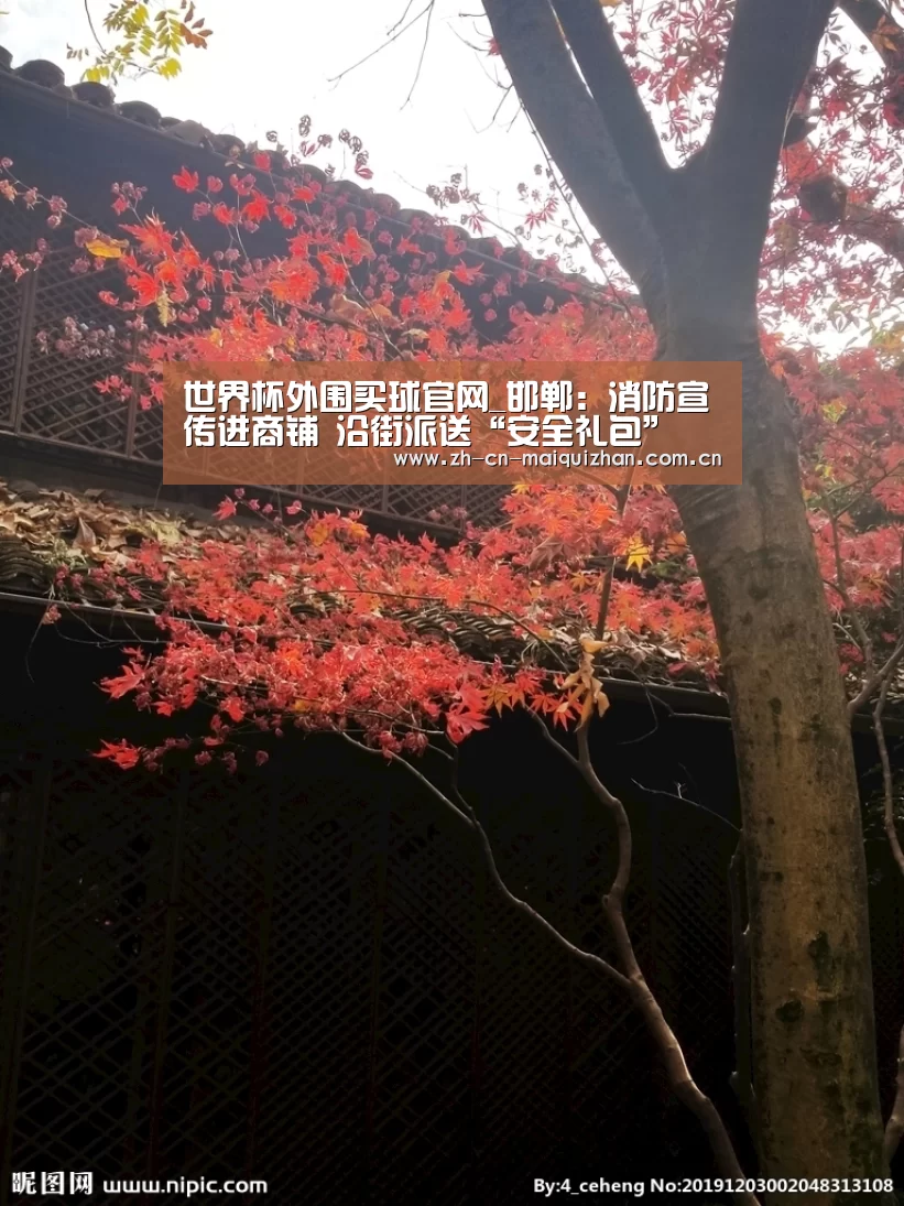 世界杯投注