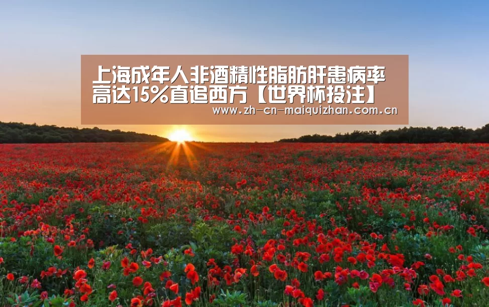 世界杯外围买球官网